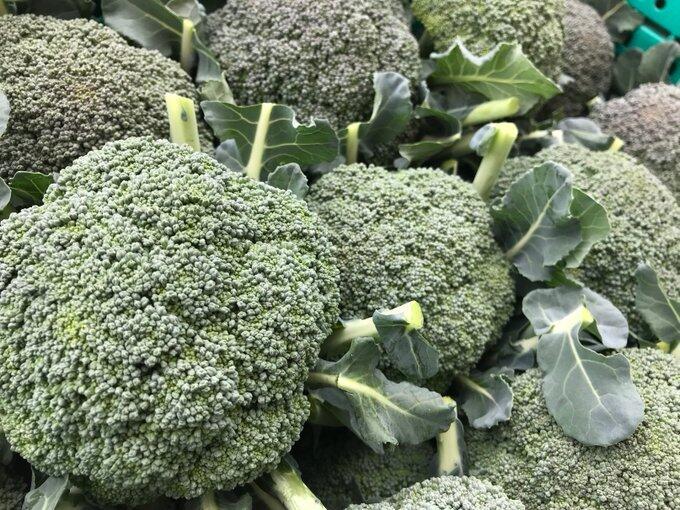 ブロッコリーを野菜室に入れないで 意外と知らない身近な野菜の 常識 J Cast トレンド 全文表示 ブロッコリーを野菜室に入れないで 意外と知らない身近な野菜の 常識 J Cast トレンド 全文表示