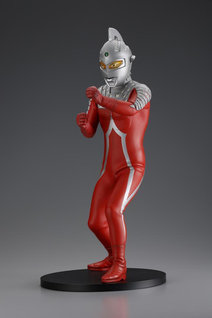 海獣の骨 世界のクマ頭骨4点セット【哺乳類】【約8cm】 | アンフィ合同会社