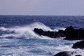 日本の海に異変　「カニ不漁」「サバ豊漁」の理由