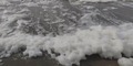 高知・桂浜水族館、台風14号「波の花」で泡だらけ　スッキリが伝えた原因