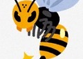 ハチに刺された！→出演者がとった対処法は...　小室瑛莉子アナ、「科学的根拠はない」「有害無益」と専門家見解を紹介