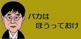 木村花さん急逝、著名人から怒りのコメント相次ぐ　立川志らく「SNSの誹謗中傷は１～２％のバカ。気にしないで」