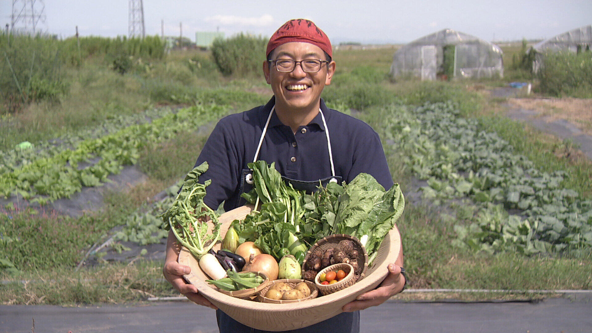 小さな畑でたくさんの品種を無農薬栽培（NHK公式サイトより）