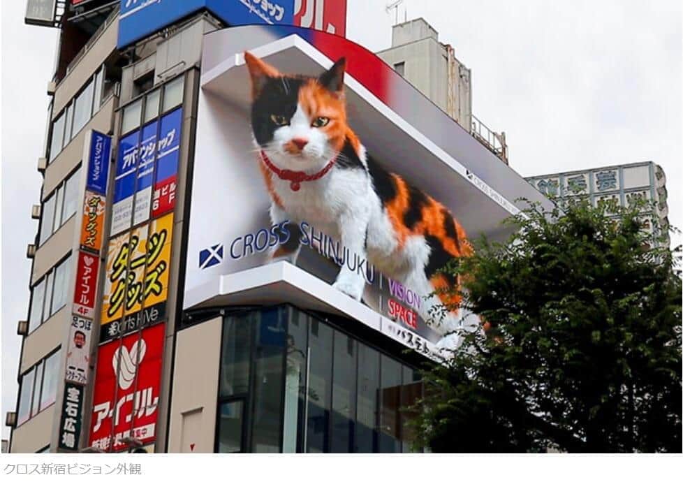 新宿10メートル超「巨大ネコ」が話題　加藤浩次「リアルだから怖さも。かわいいとは...」