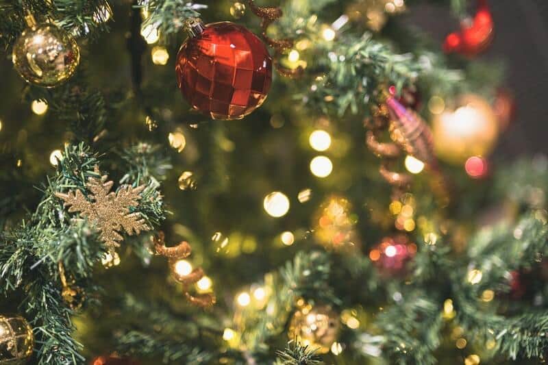 クリスマスツリー破壊「黒ずくめ」男　谷原章介「謎が深まります」