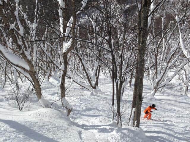 雪崩で欧米人スキー客２人意識不明、モーニングショーが伝えるバックカントリーのリスク