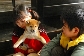 (C)2007 「マリと子犬の物語」製作委員会