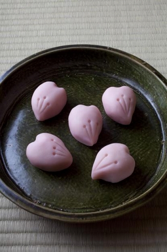 安田美沙子が学ぶ和菓子の秘密―京都老舗の味と技